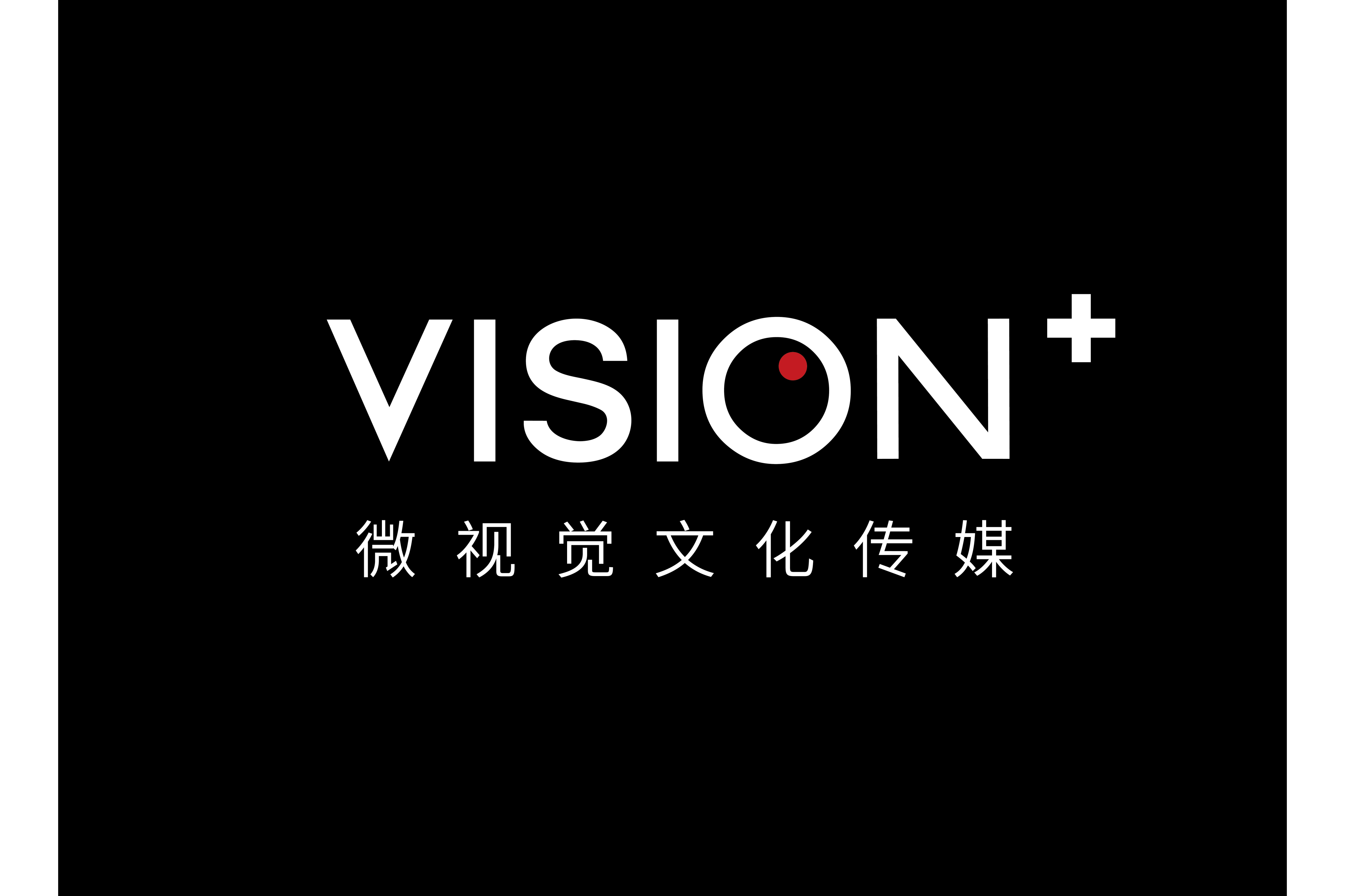 微视觉文化传媒科技(深圳)有限公司