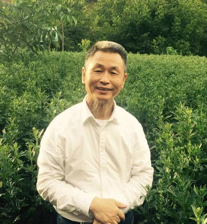 刘力红