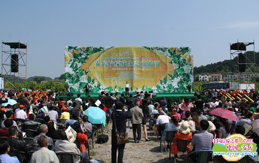安岳柠檬节