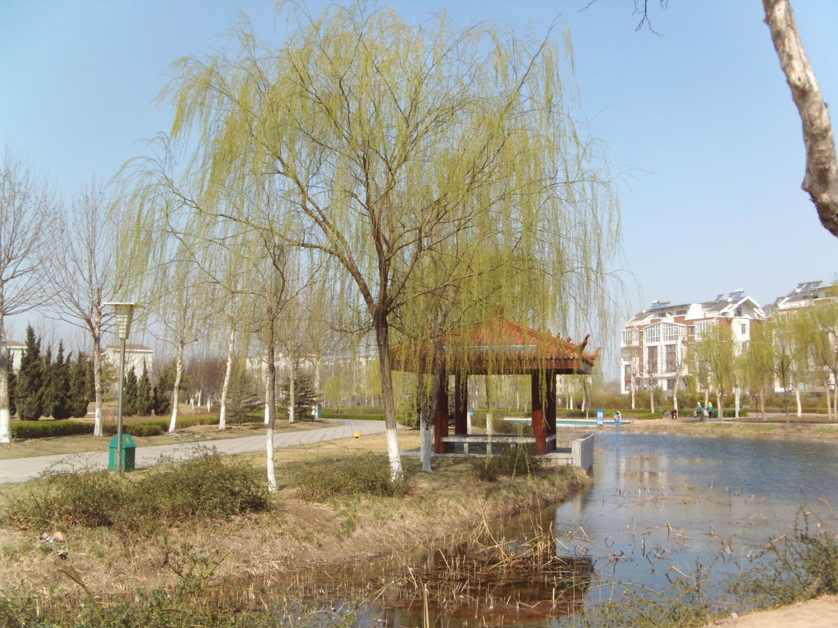 target="_blank" href="/item/桓台">桓台 /a>少海公园位于 a target=