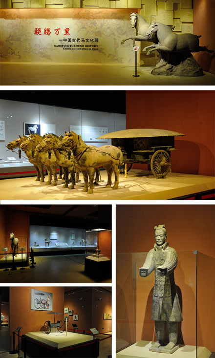 陕西历史博物馆（中国第一座大型现代化博物馆）_百度百科