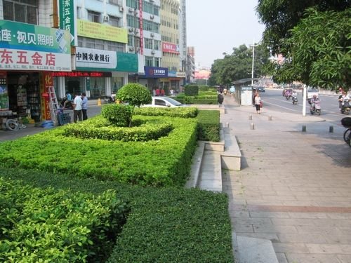 绿化带是什么意思 全网资源
