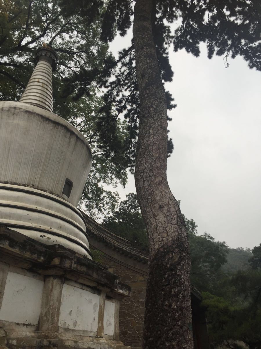  p>庆寿寺原址在北京 a target="_blank" href="/item/西长安街