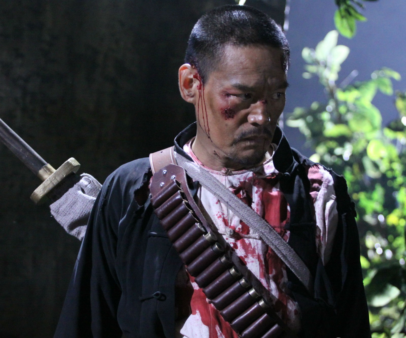 电视剧, a href="#" data-lemmaid="305418">齐星 /a>执导并编剧,巍子