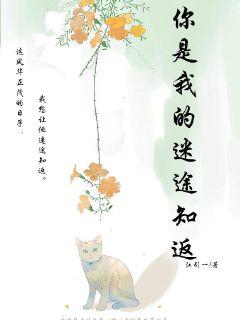 你是我的迷途知返
