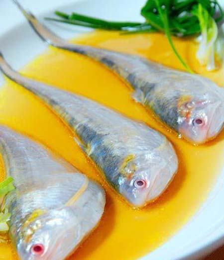  p>鳀科, i>engraulidae  /i>,属硬骨鱼纲 a href="#" data-lemmaid="