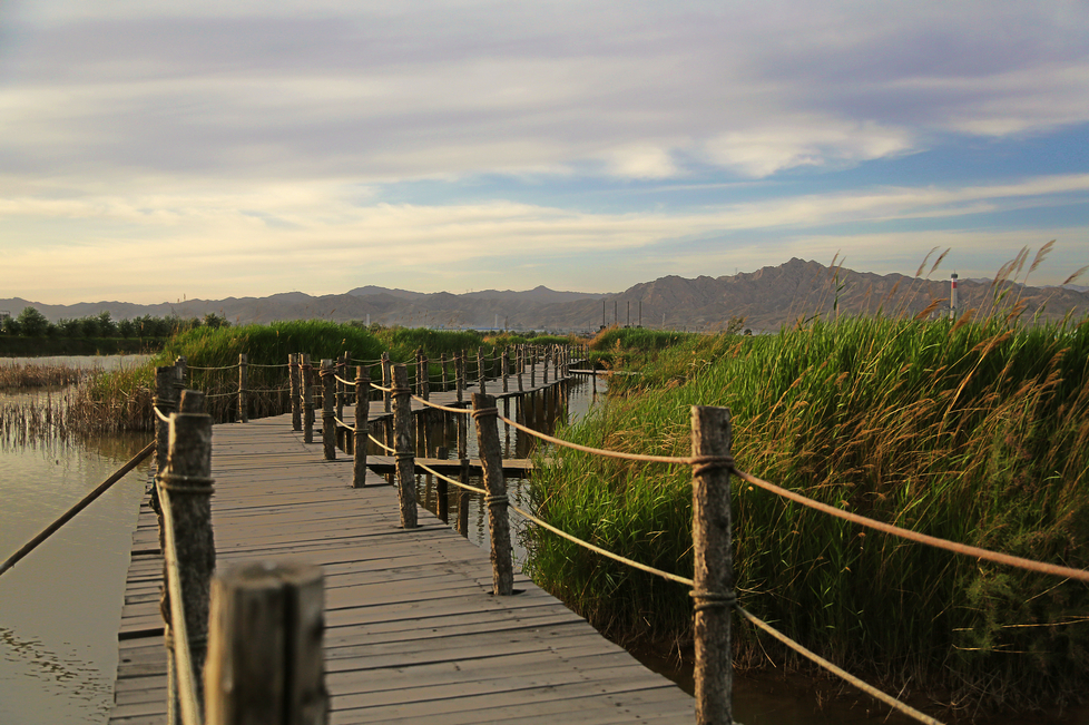 " href="/item/包头">包头 /a>市东河区沙尔沁镇东坝村北500米(南绕城