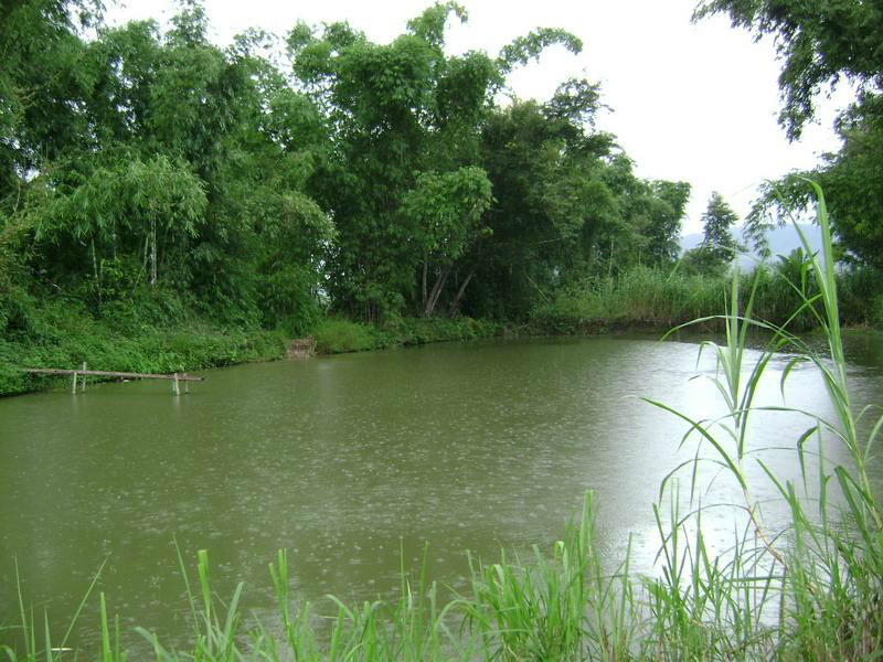  p>池塘是指比 a href="#" data-lemmaid="242936">湖泊 /a>小的水体.