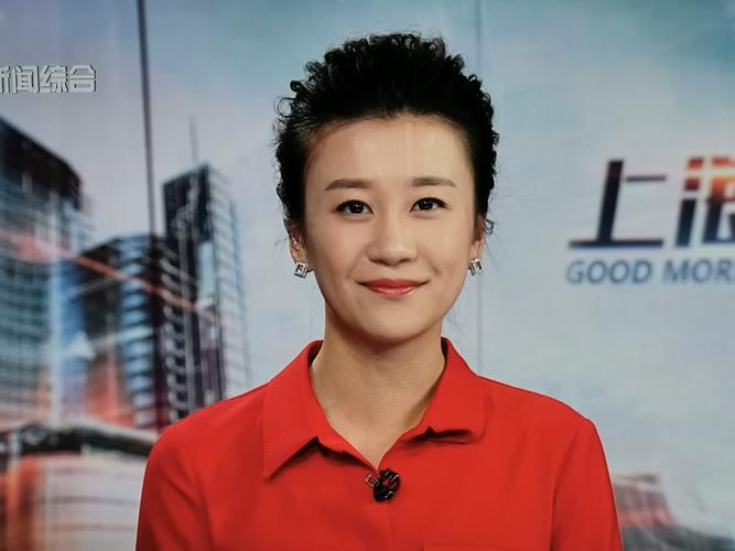 tag">现任上海广播电视台新闻综合频道主持