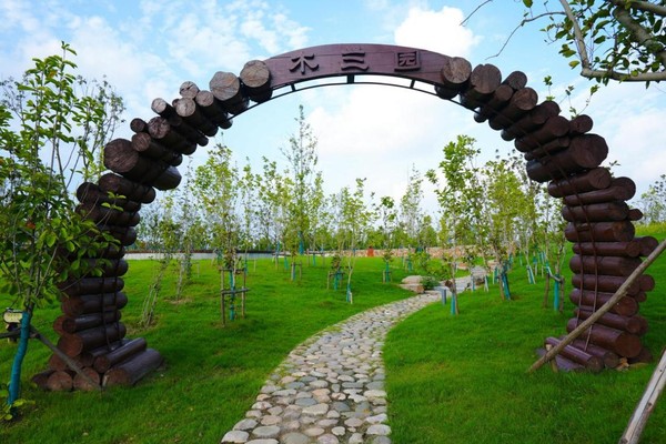  p data-id="seebkmnbepzm">阜阳植物园位于阜阳市城南新区东南角,北