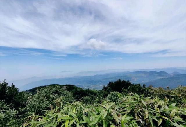  p>燕尾山,是指鼓浪屿的燕尾山生态公园,除了百年古炮台外,还可以尽情