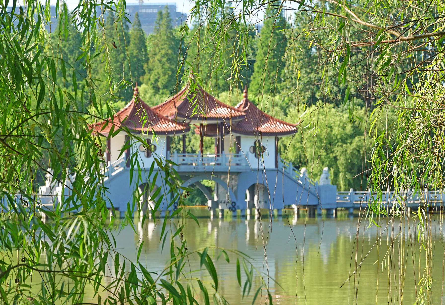 东台公园