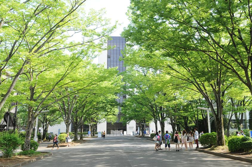  p> a target="_blank" href="/item/日本城西国际大学/7381096" data