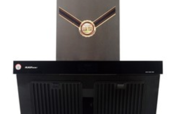  p>瑞贝格尔cxw-288-g26是一款油烟机. /p>