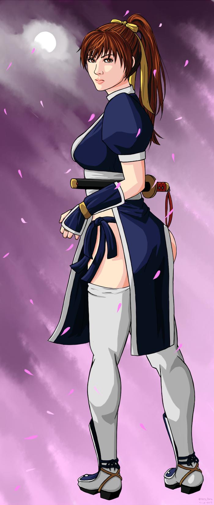 是日本格斗游戏《 a target="_blank" href="/item/死或生/5076"