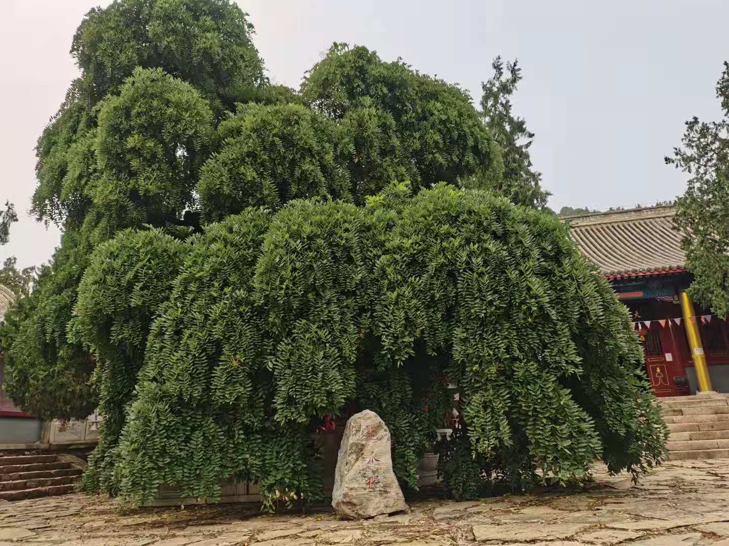  p> b>法兴寺 /b>,位于 a target="_blank" href="/item/北京市">北京