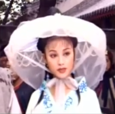 (又名《说岳后传》),盖九霄的徒弟,武功卓