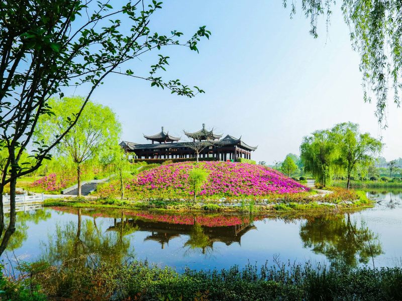 扬州芍药园