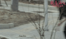 230_136gif 动态图 动图