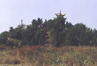  p>黄泥山遗址原名"高墟","太平山",在江苏省苏州昆山市正仪镇东北部