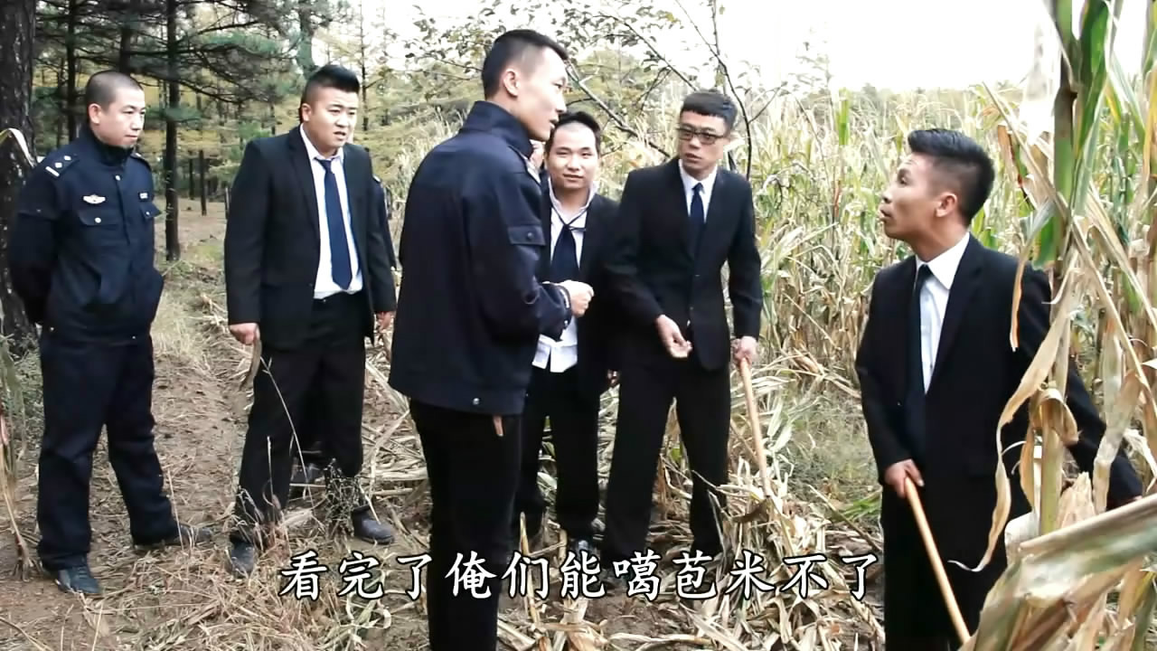 二龙湖浩哥之风云再起