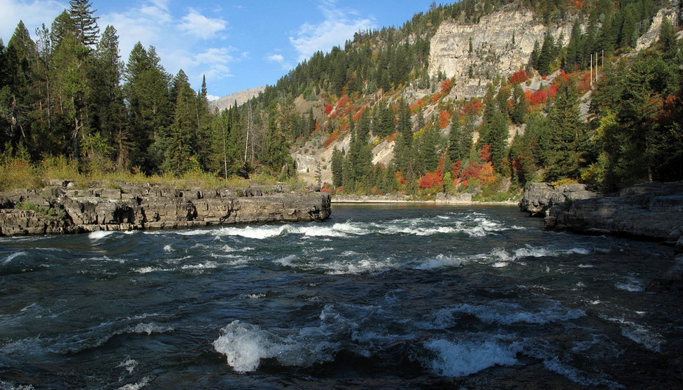 是 a href="#" data-lemmaid="17943196">蛇河 /a>在美国 a href="#">