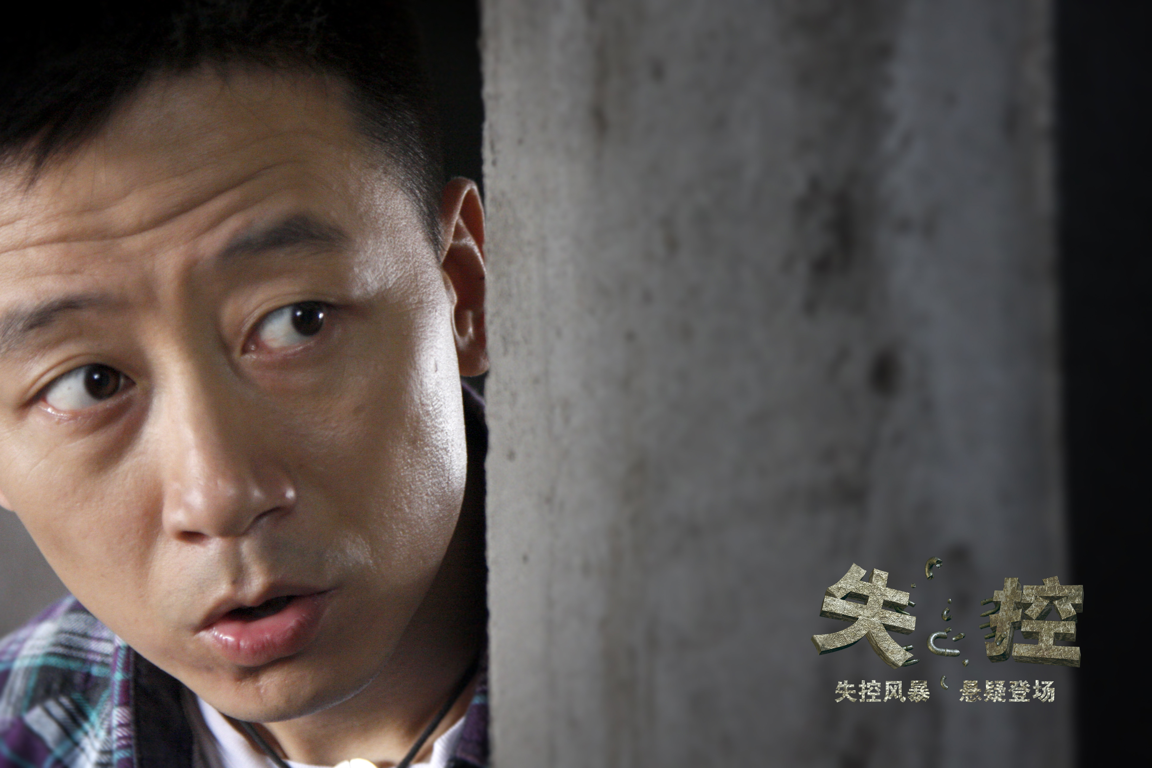 data-lemmaid="10423441">长江文艺出版社 /a>出版的图书,作者是张震