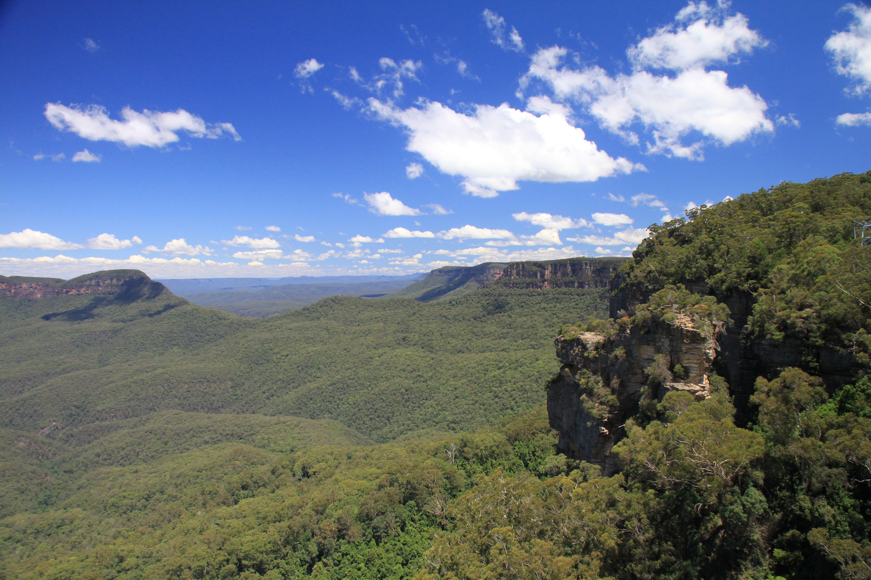 湖南蓝山国家森林公园