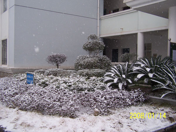 宜昌市第八中学