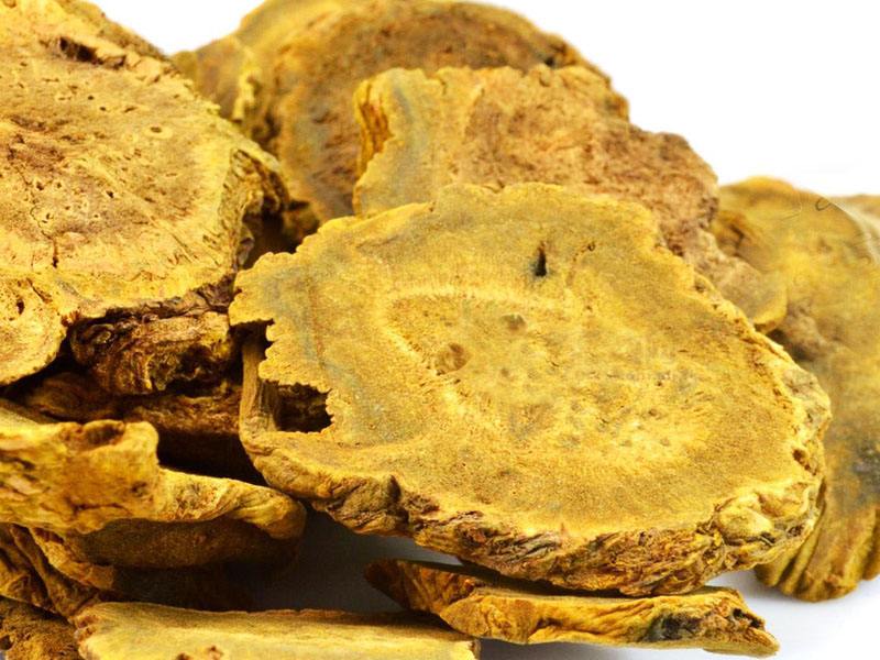  p>滇边大黄(学名: i>rheum delavayi  /i>franch.