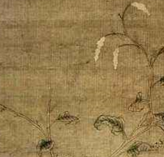 《红蓼白鹅图》是传为北宋 a href="#" data-lemmaid="209510">赵佶 