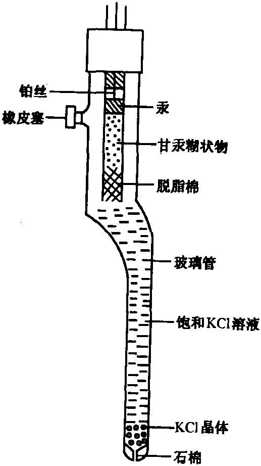 参考电极