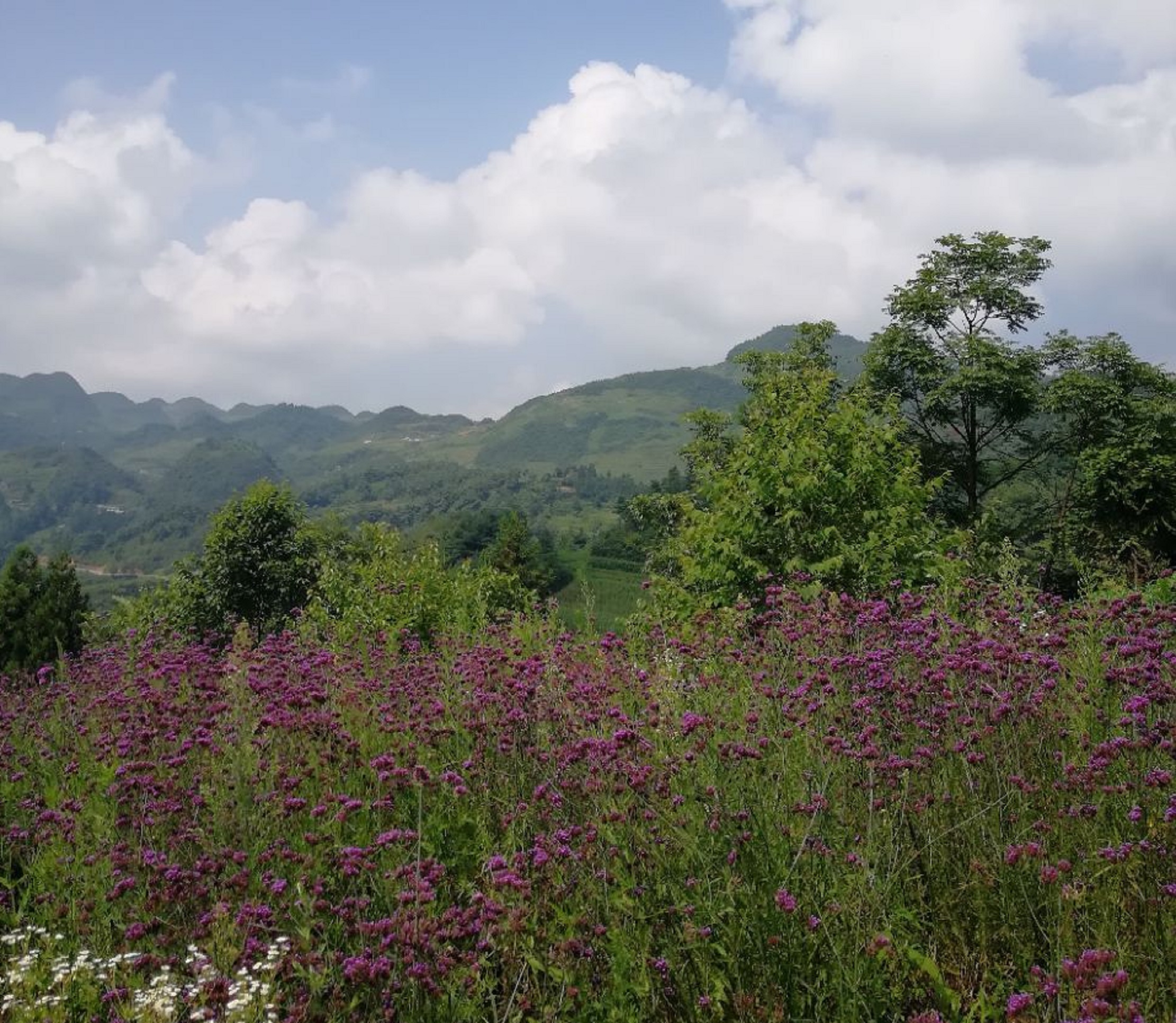 赫章国家森林公园