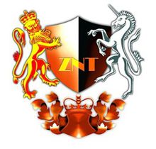  p>智囊团组织,原名"全球百人精英会".