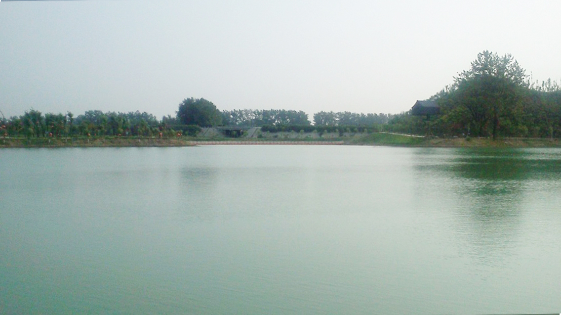 沈丘县中华槐园