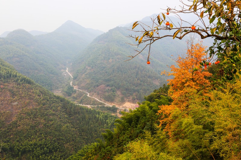  p data-id="gnb2byqssp">东坪古道,位于浙江省衢州市衢江区 a target