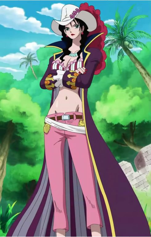 data-lemmaid="8904">海贼王 /a>》及其衍生作品中的人物