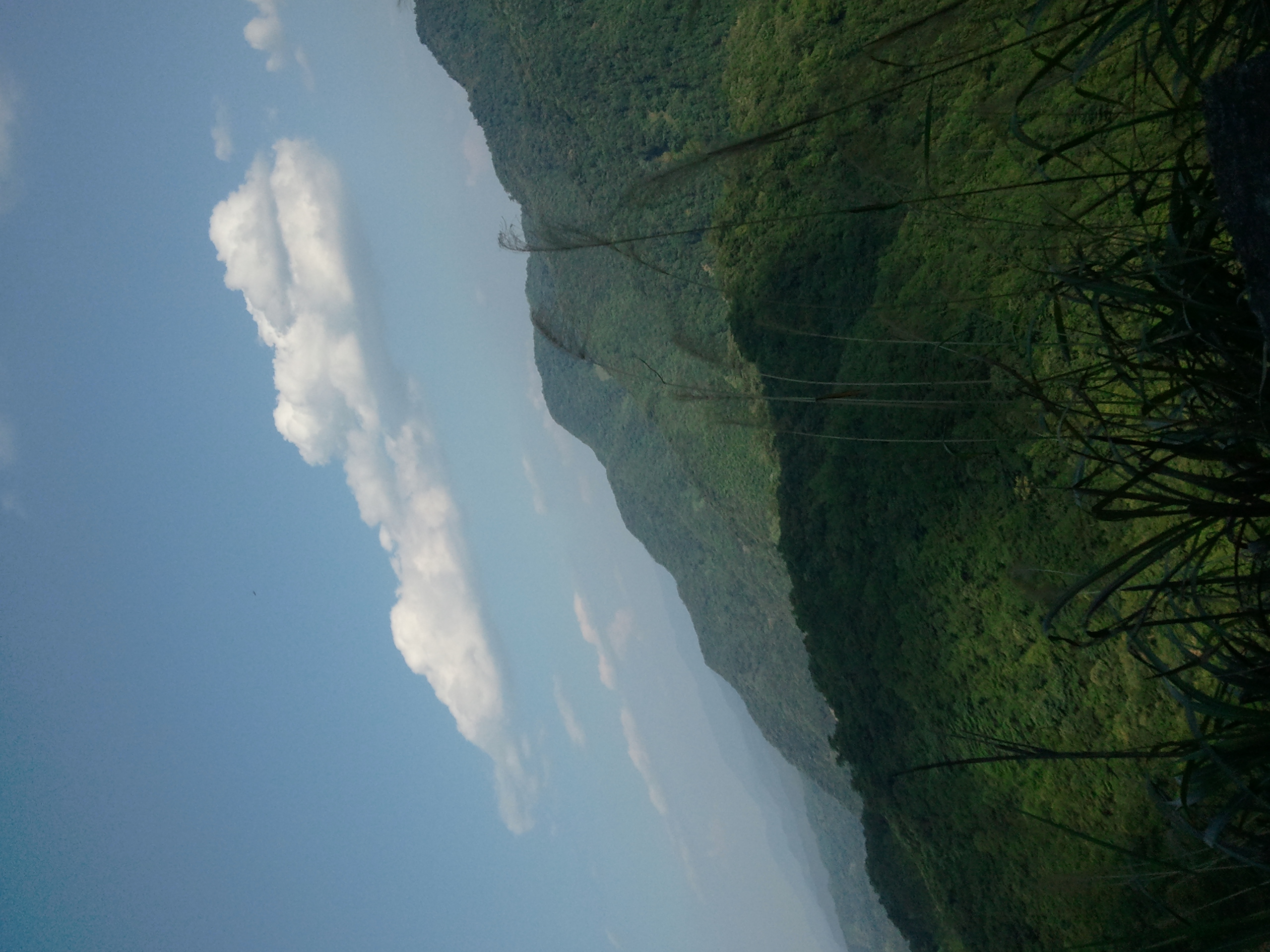 它是亚热带东北部边缘保存最好,林相最完整的唯一一片原始森林,内有