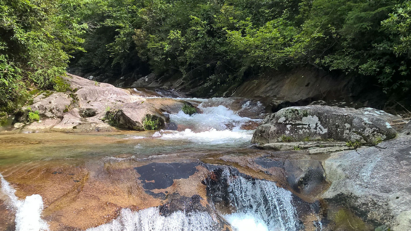  p>梨树洲是一个风景区,在 a target="_blank" href="/item/炎陵县