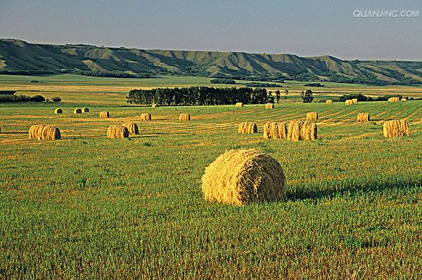 saskatchewan),被誉为加拿大的"产粮之篮",以牧场和麦田而闻名