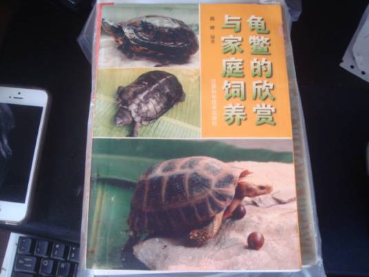 龟鳖的欣赏与家庭饲养_百度百科