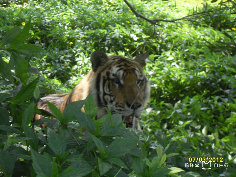 厦门海沧动物园