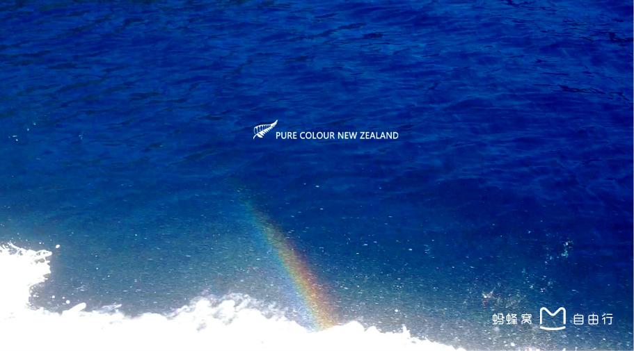 毛利语:piopiotahi),在毛利语的意思为"第一只野生画眉"(first native