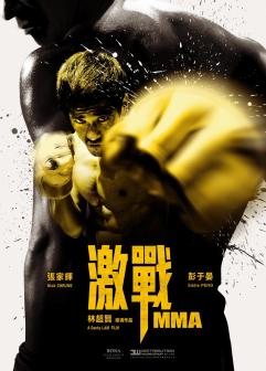 激战（2013年林超贤执导的电影）_百度百科