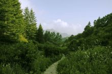 驼梁
