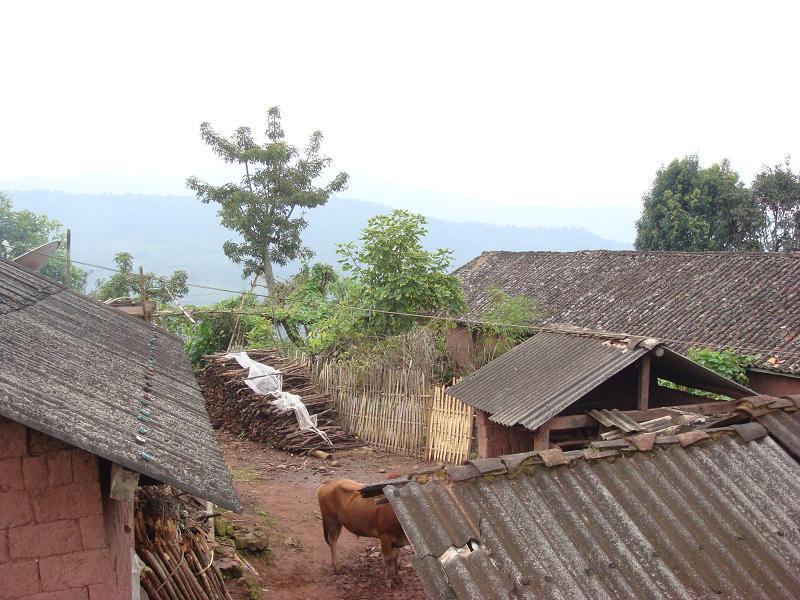  p>骂尼村隶属 a target="_blank" href="/item/坝溜乡/4990675" data