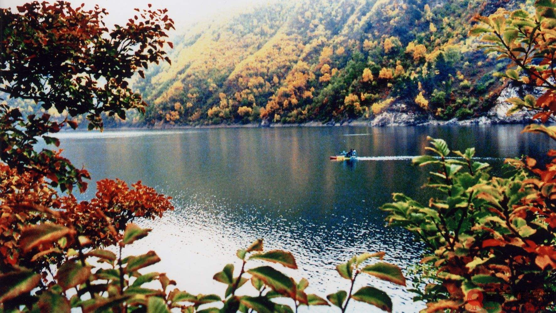  p data-id="gnx6ovma6d">大天池,位于江西省九江市庐山西北的天池山