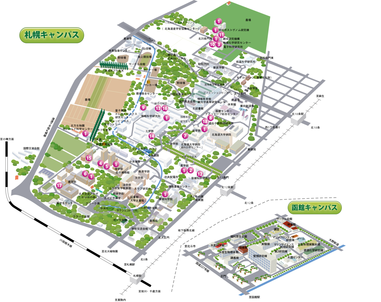 日本北海道大学