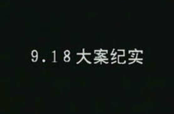 9·18大案纪实