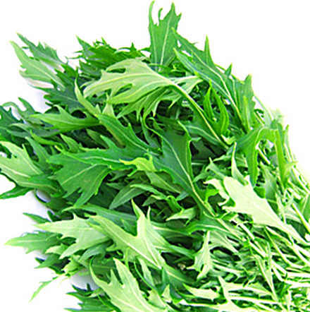 千筋白茎京水菜